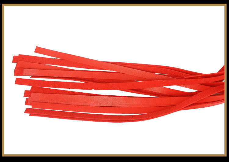 Sexy SM Props Tassel Small Whip SP Punishment Training Sexy Whip Alternative Adult Products