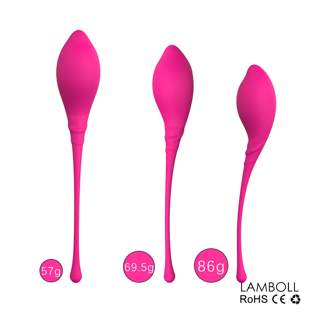 Vaginal Dumbbell Kegel Ball for Women Pelvic Floor Muscle Trainer Private Area Tightening Exerciser