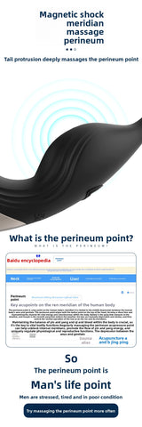 Nuoer Male Sex Products Prostate Massager Anal Plug Semen Locking Ring Back Chamber Masturbation Device