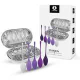 New Product OEM Postpartum Recovery Belt with Disinfection Box for Protecting Women's Private Parts Kegel Ball Vaginal Dumbbell Exerciser