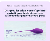 New Product OEM Postpartum Recovery Belt with Disinfection Box for Protecting Women's Private Parts Kegel Ball Vaginal Dumbbell Exerciser