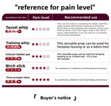 Punishment Training SM Props Acrylic Ruler Spanker Erotic Leather Spanker SP Leather Whip Pointer Alternative Adult Products