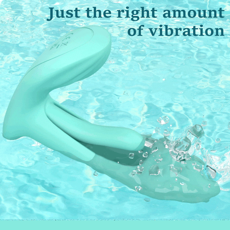 New Female Masturbation Massager Wearing Vibration APP Massage Stick Adult Sex Toy