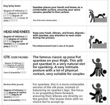 Punishment Training SM Props Acrylic Ruler Spanker Erotic Leather Spanker SP Leather Whip Pointer Alternative Adult Products