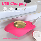 Magnetic Suction Wearable Vibrator for Women, Non-Intrusive Strong Vibration Double-Layer Silicone Female Masturbator, Erotic Vibrator