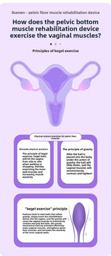 New Product OEM Postpartum Recovery Belt with Disinfection Box for Protecting Women's Private Parts Kegel Ball Vaginal Dumbbell Exerciser