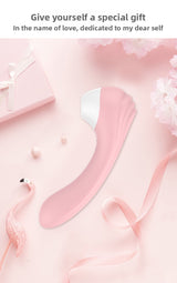 10 Frequency Suction Vibrator USB Magnetic Charging Suction Device No Hole Suction Vibrator for Women