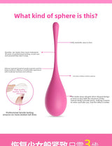 Women's Vaginal Exercise Dumbbell Smart Ball Repair Postpartum Private Part Tightening Adult