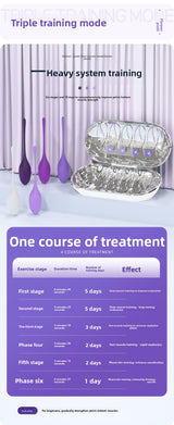 New Product OEM Postpartum Recovery Belt with Disinfection Box for Protecting Women's Private Parts Kegel Ball Vaginal Dumbbell Exerciser