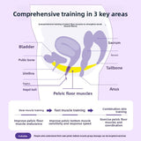 New Product OEM Postpartum Recovery Belt with Disinfection Box for Protecting Women's Private Parts Kegel Ball Vaginal Dumbbell Exerciser