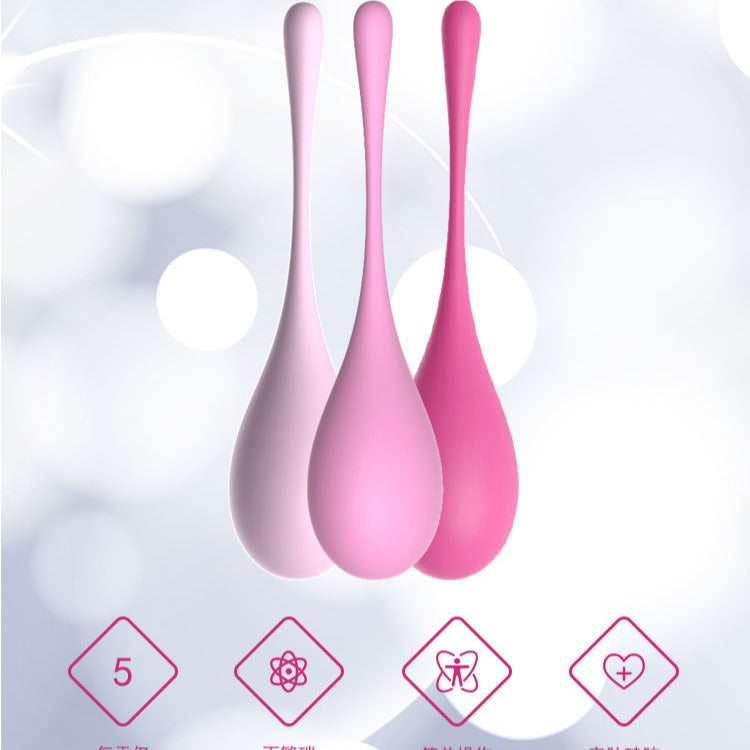 Women's Vaginal Exercise Dumbbell Smart Ball Repair Postpartum Private Part Tightening Adult