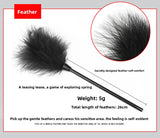 Sex Toys SM Props 10-Piece Set Binding Rope Restraints Handcuffs Training Mouth Gag Nipple Clamps Alternative Adult Sex Products