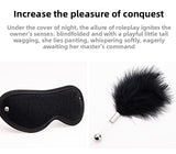 Sm Props Four-Piece Set Black Tease Feather Stick Anal Bead Eyeshade Sexy Whip Adult Supplies