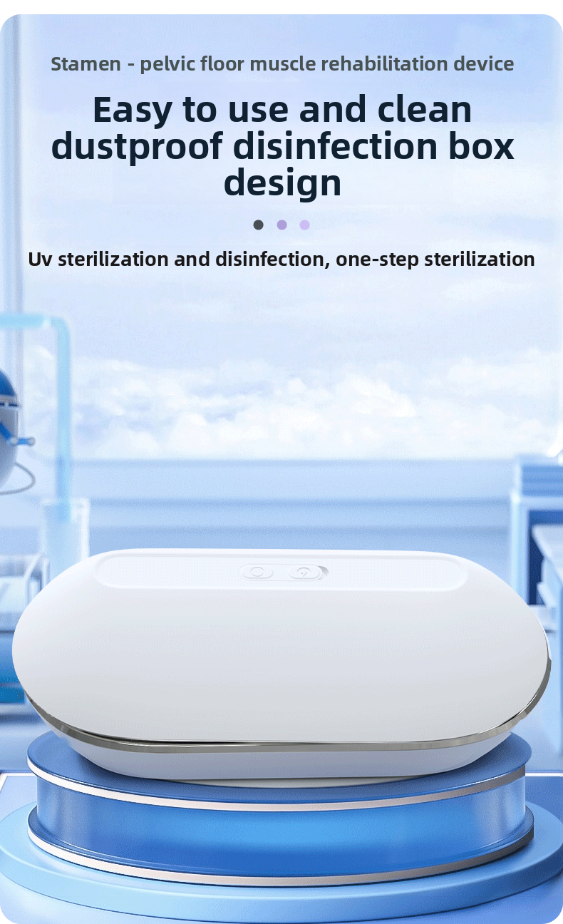 New Product OEM Postpartum Recovery Belt with Disinfection Box for Protecting Women's Private Parts Kegel Ball Vaginal Dumbbell Exerciser